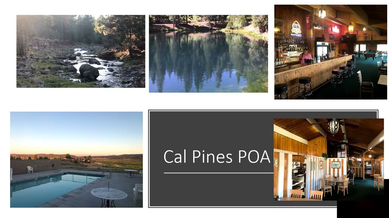 Introduction To California Pines - California's Last Frontier and NorCal's Best Kept Secret