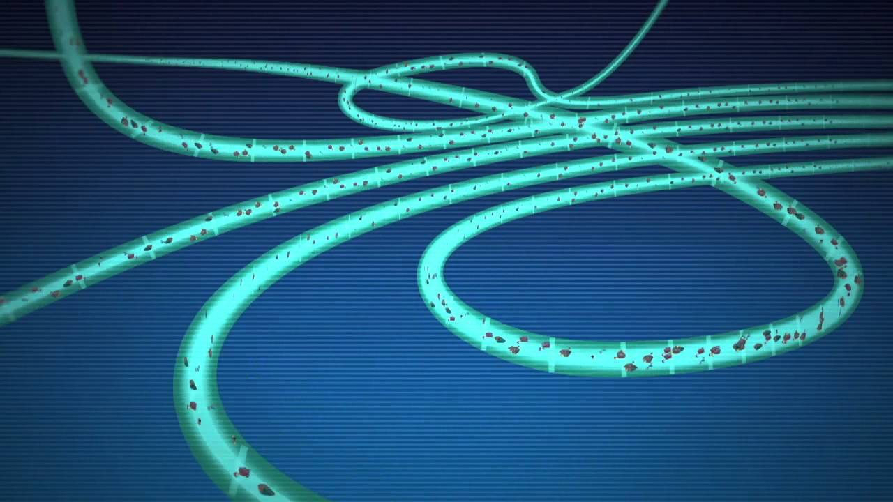 Messages From Miles - Rule 14: Speed | Official Disney Junior Africa