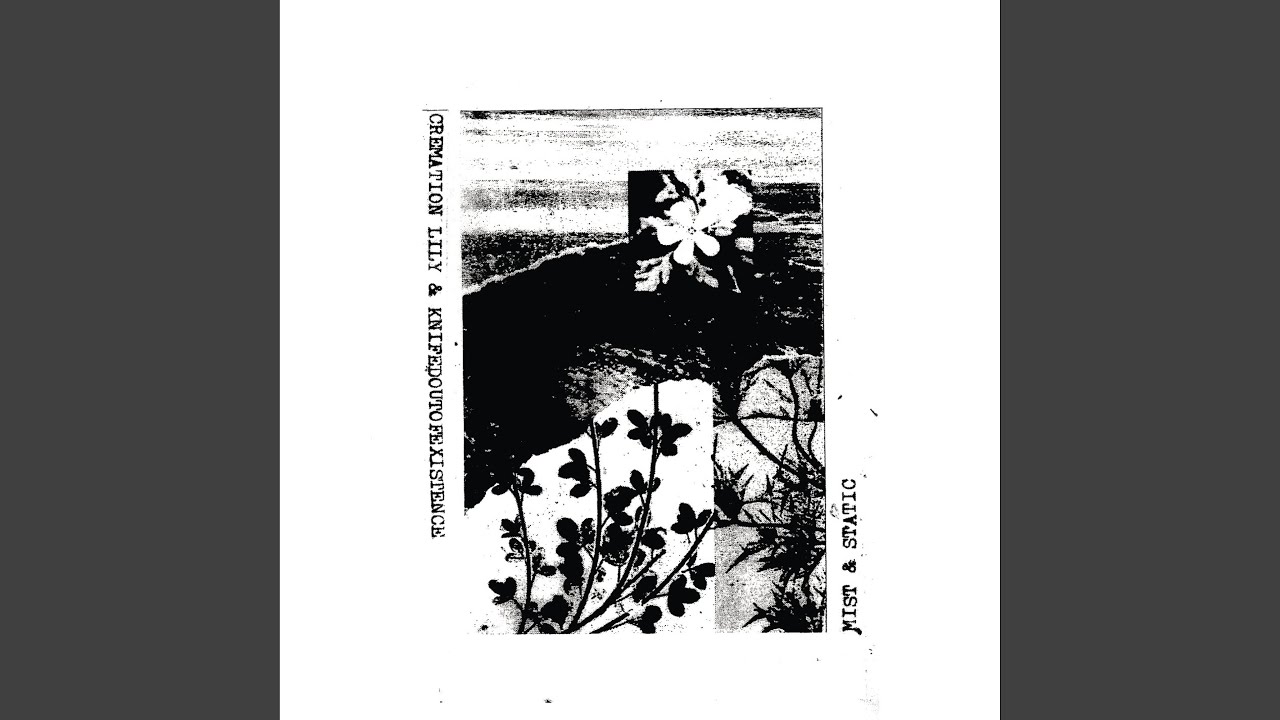 Mist & Static (feat. Knifedoutofexistence)