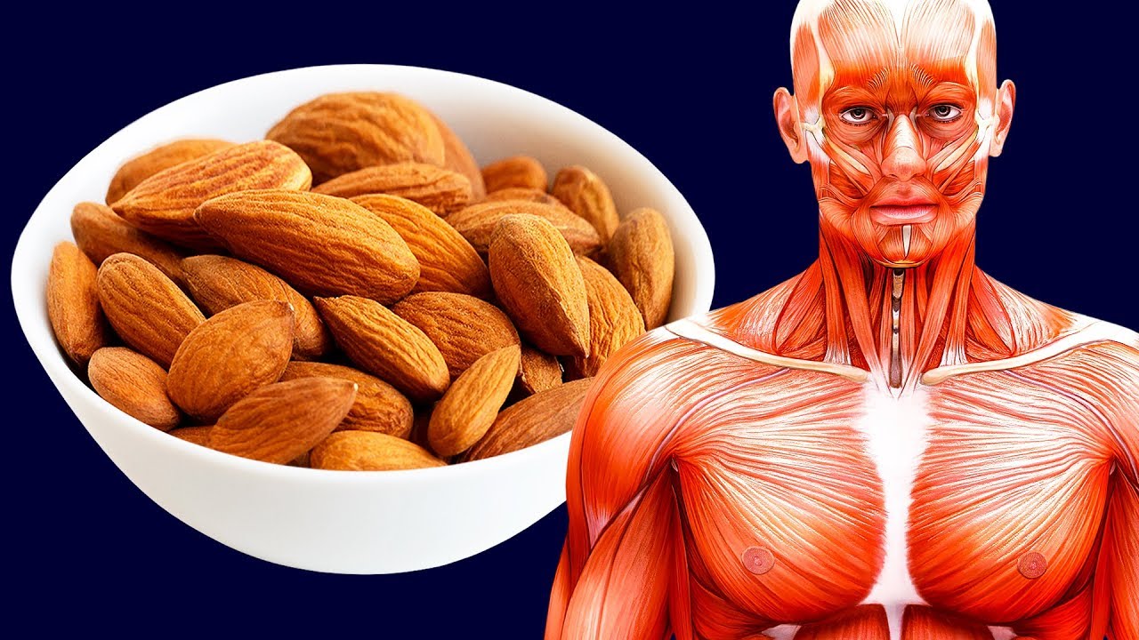 ¿Qué pasará si empiezas a comer 20 almendras al día?