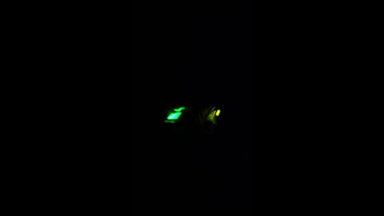 Glowstix - All I want