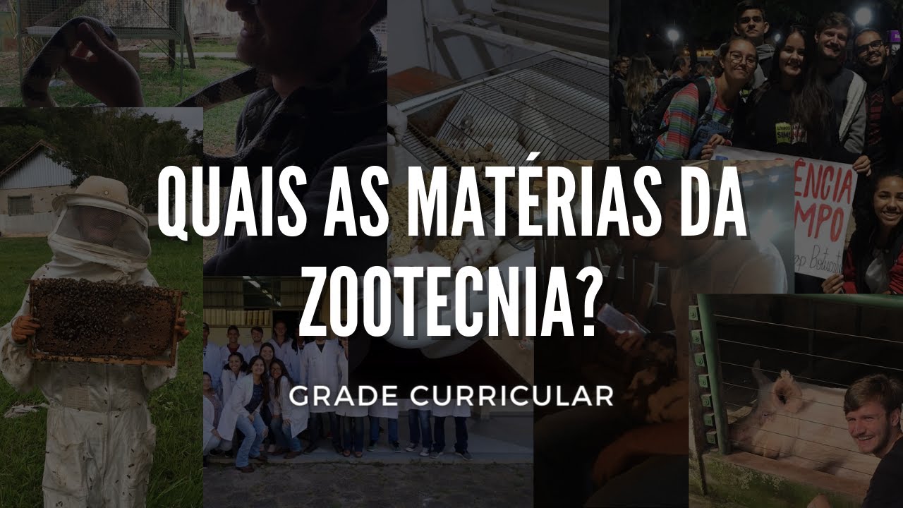 Quais são as MATÉRIAS da Zootecnia? O que se estuda em zootecnia?