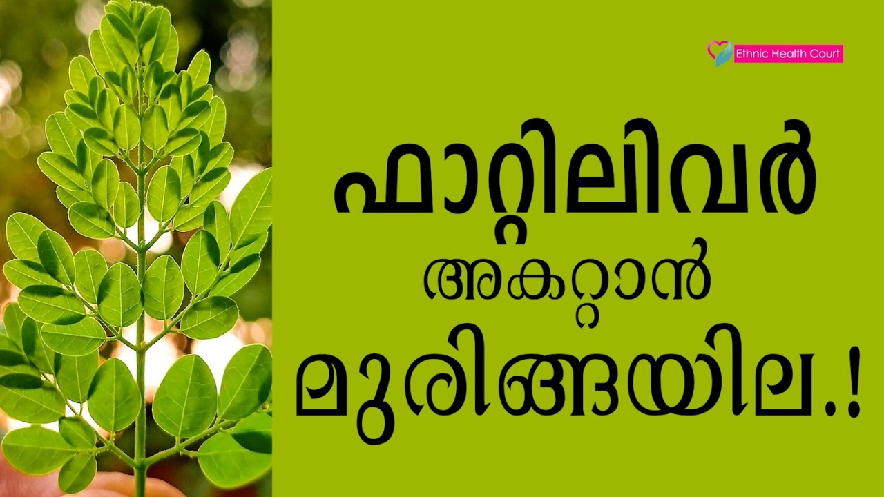 ഫാറ്റി ലിവർ അകറ്റാൻ മുരിങ്ങയില.! | Ethnic Health Court