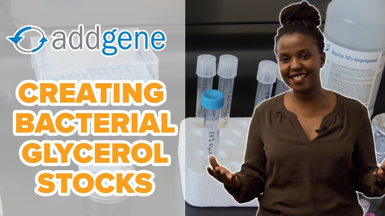 Creating Bacterial Glycerol Stocks