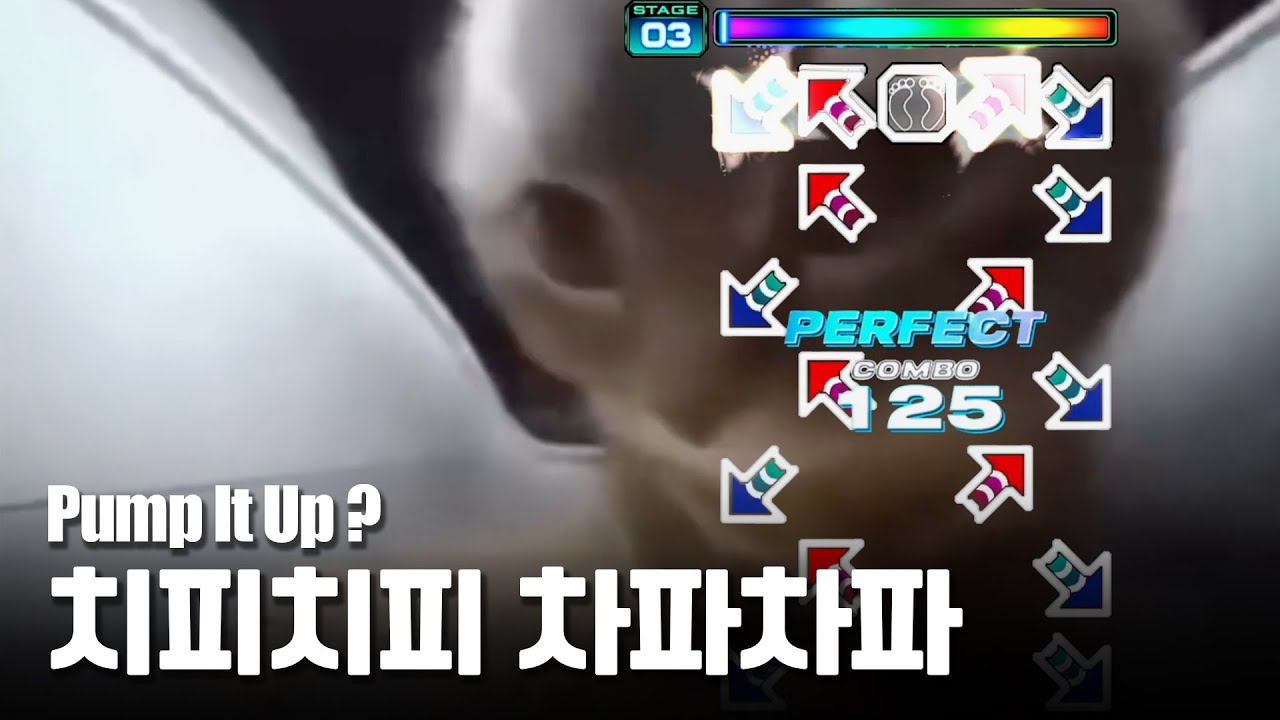 치피치피차파차파 펌프에 나온다면?