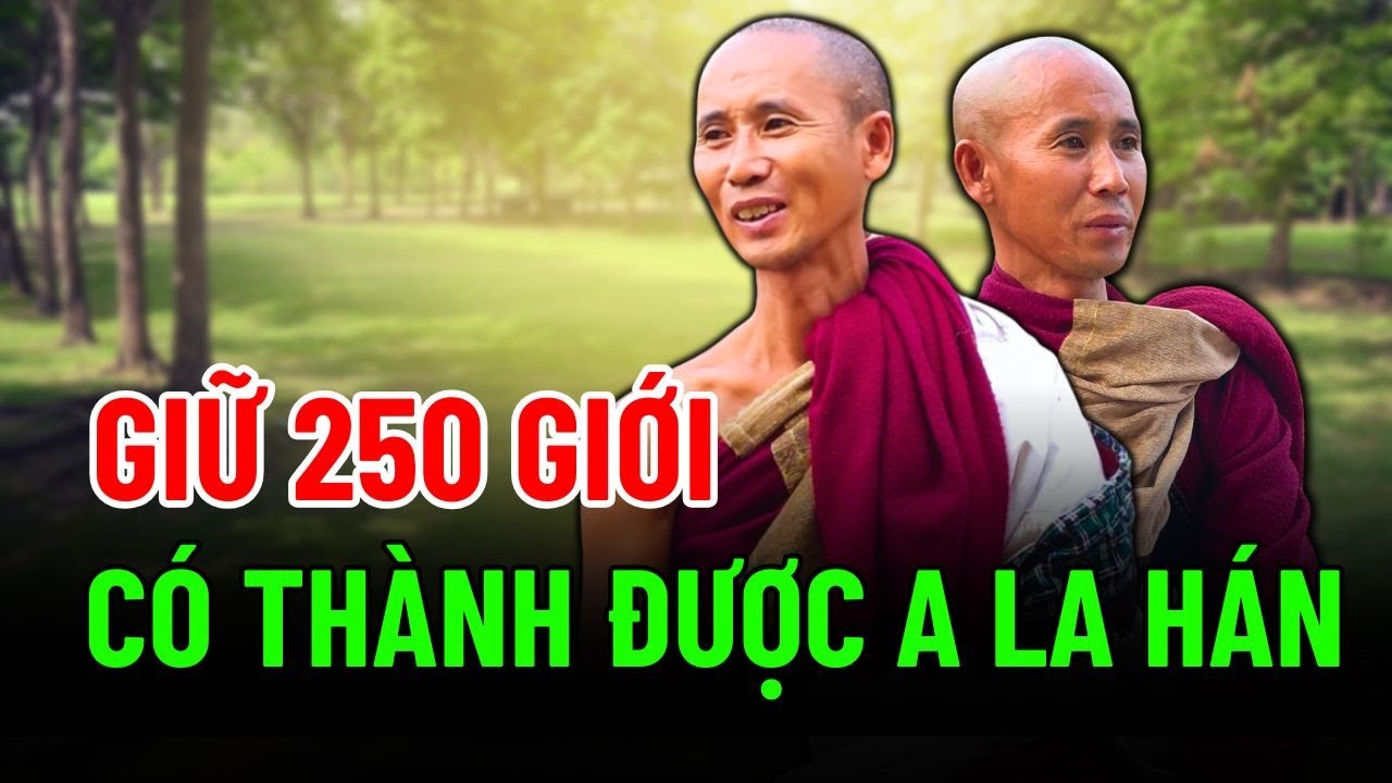 250 Giới Mà Đến CẢ CÂY CỎ CŨNG KHÔNG DÁM DẪM – Nghe MÀ LẶNG NGƯỜI