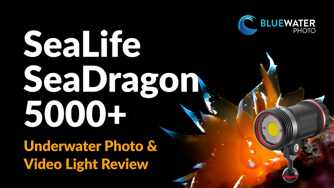 SeaLife Sea Dragon 5000+ Full Video Light Review