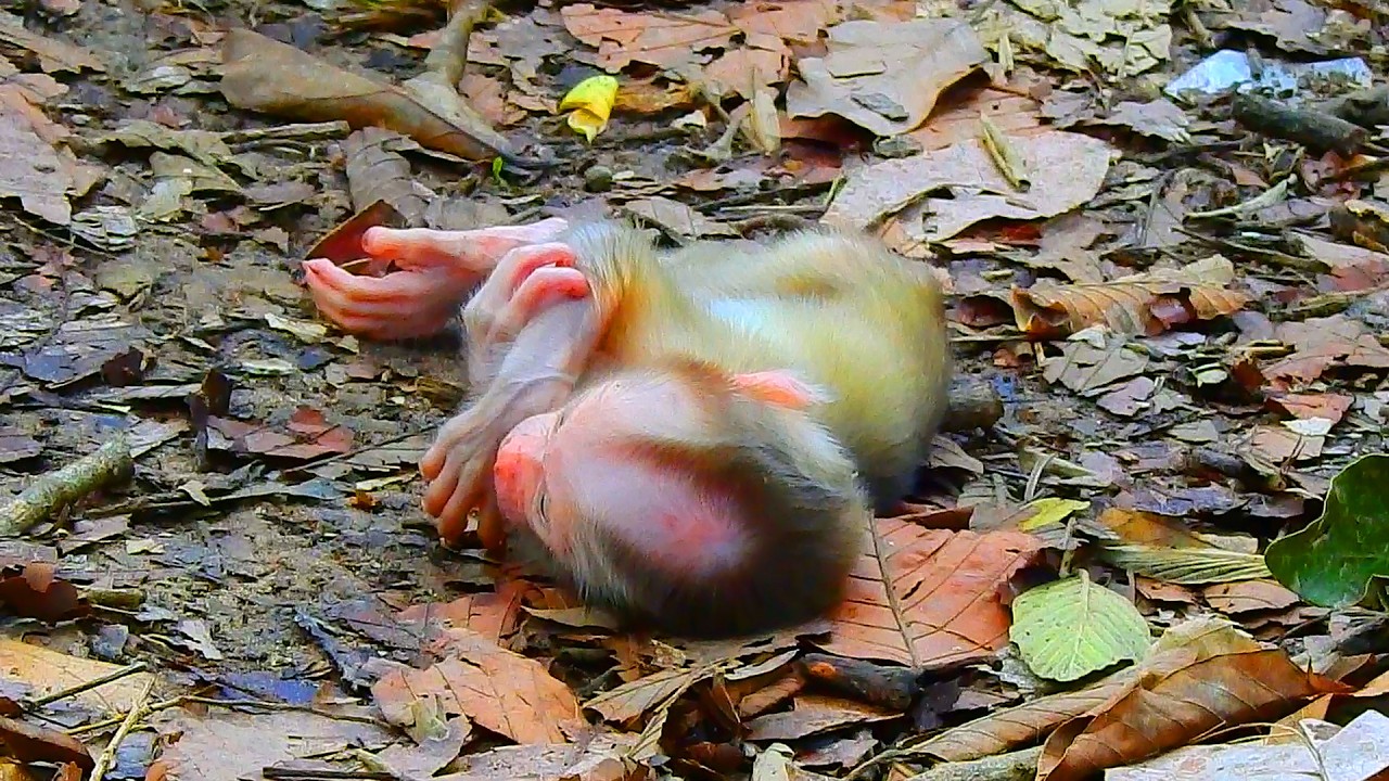 Adorable Baby sleeps alone on the ground while his mom ignore