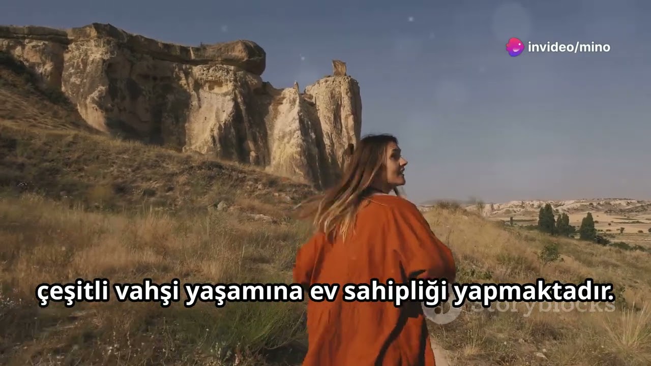 Türkiye'nin Coğrafi Bölgeleri | İklimi | Yetişen Meyve ve Sebzeleri | İlleri ve Diğer Detayları