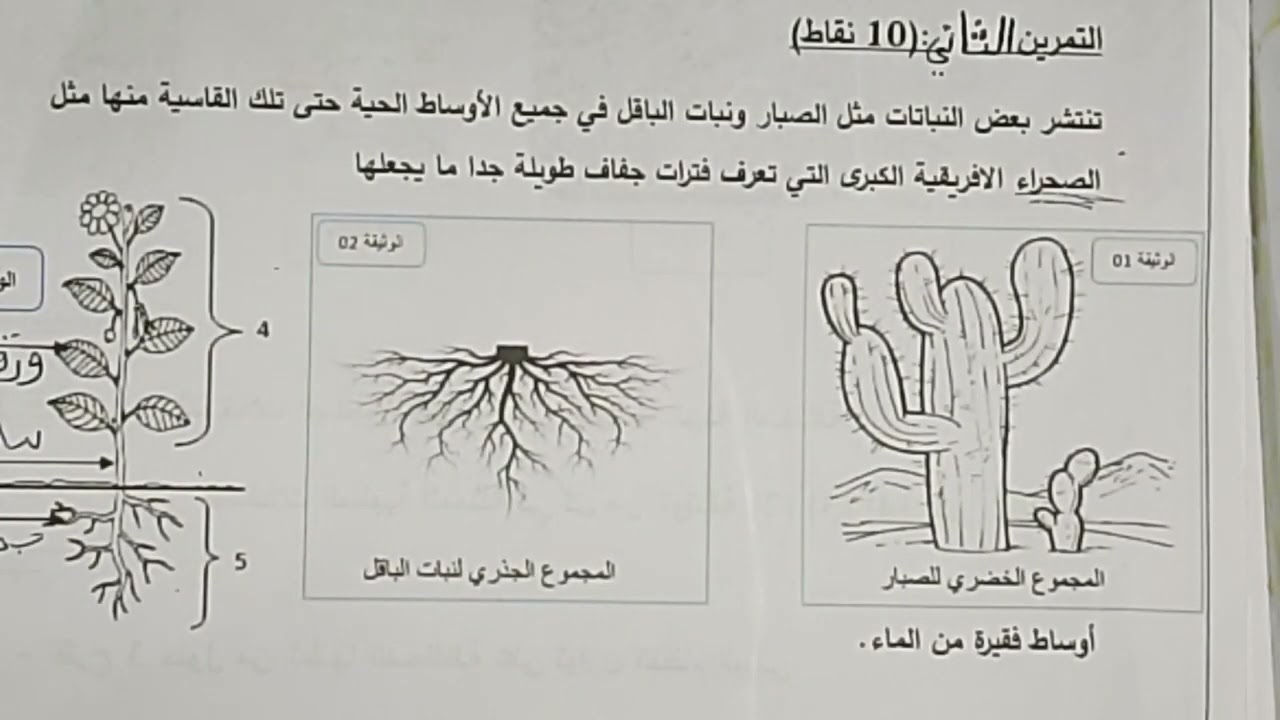 فرض مقترح في ماده العلوم الطبيعية السنه الثانية متوسط
