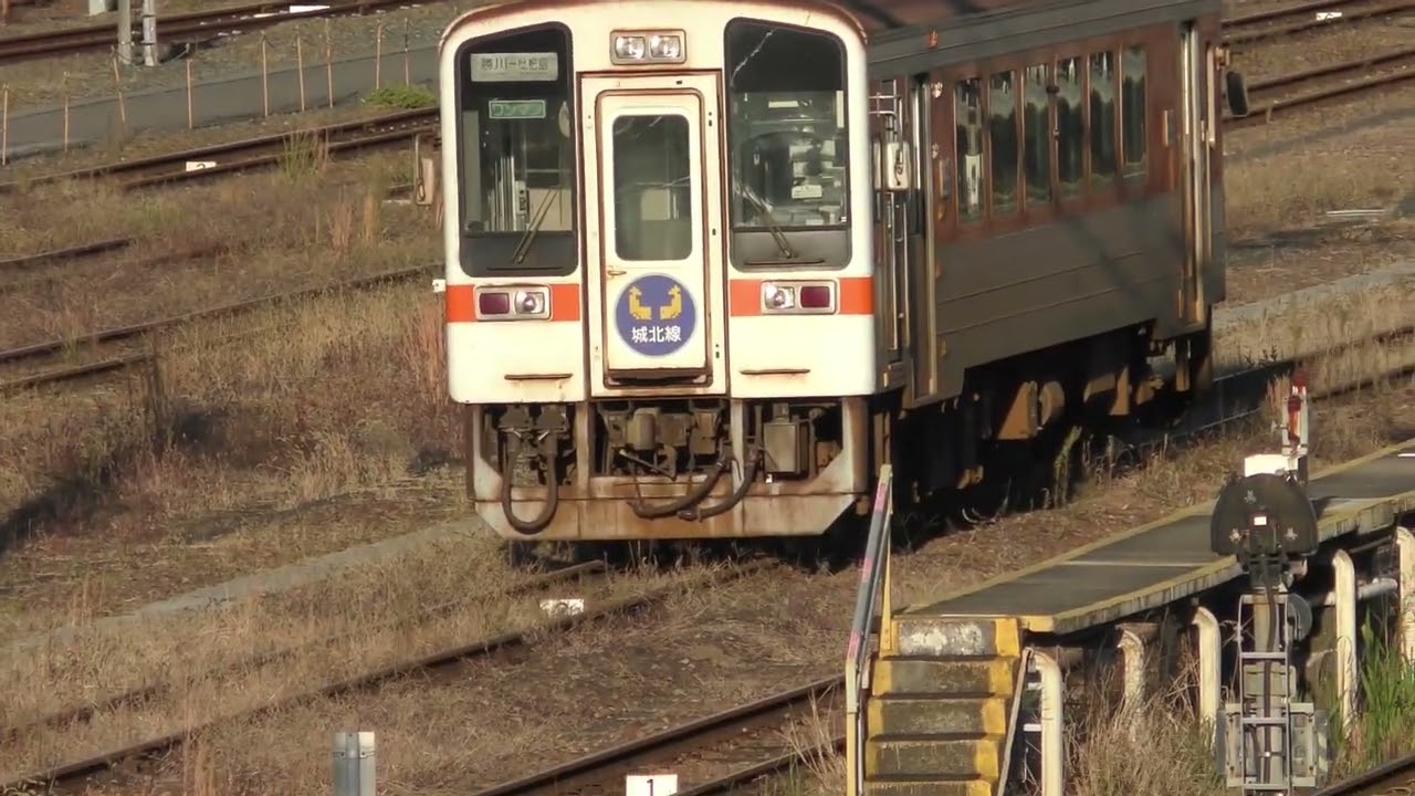 JR東海名古屋車両区の様子 　令和7年11月23日