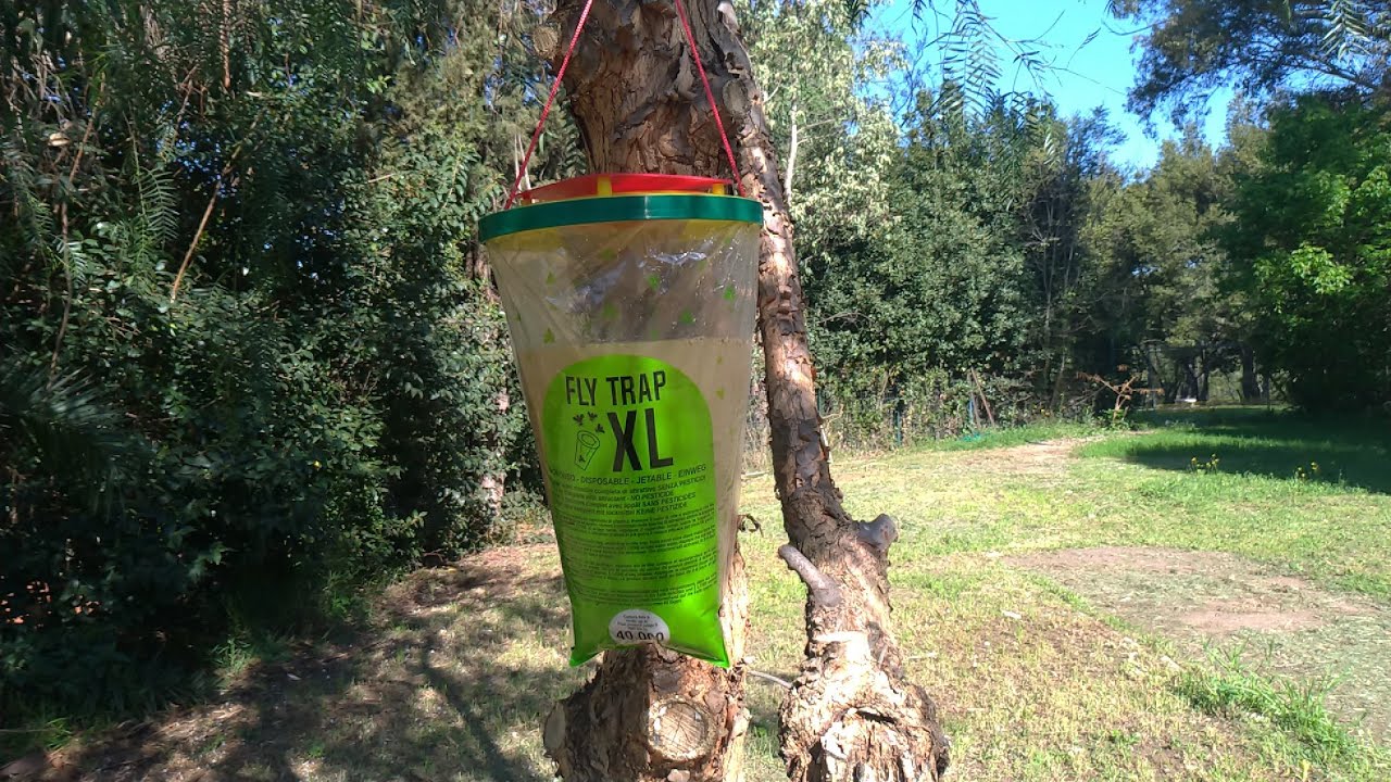 Trappola per Mosche ECOLOGICA! Cattura 40.000 Mosche!