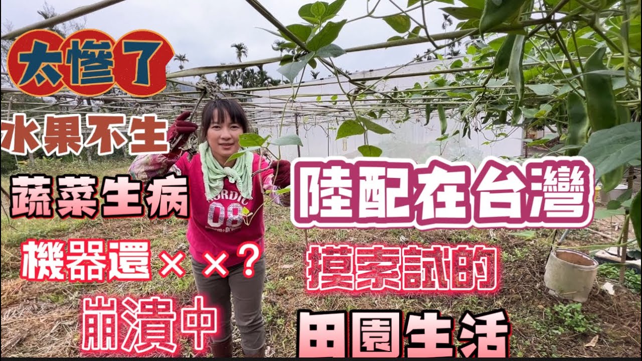 悲劇了！來看看這個陸配摸索試的田園生活  水果不生 蔬菜生病  太不專業了  機器還××？ 崩潰阿……😭😭
