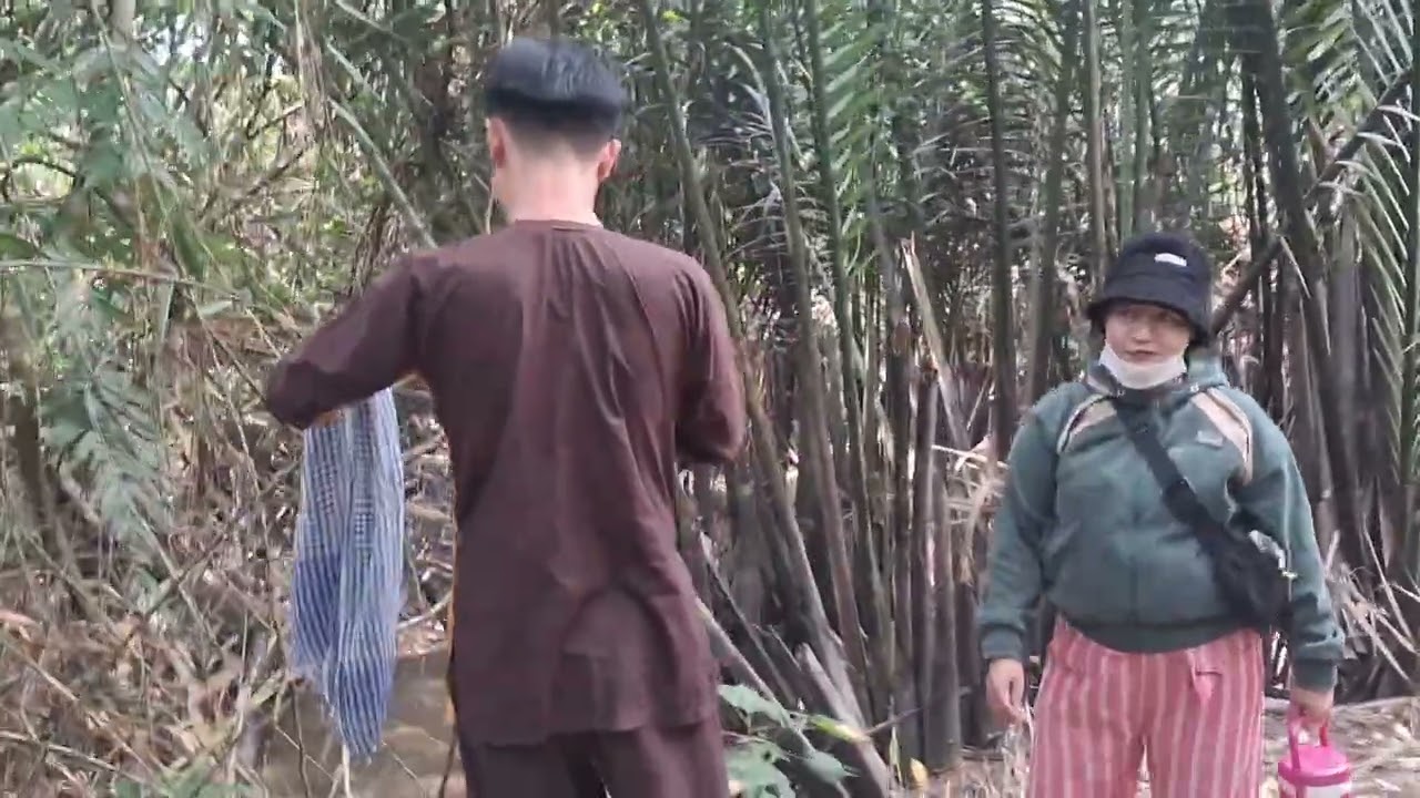 Sân Chim Vàm Hồ ,Ba Tri ,Bến Tre(tìm nghe tiếng chim hót còn khó)