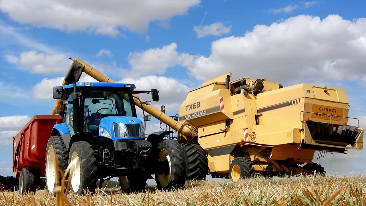 MOISSON 2023 | New Holland TX68