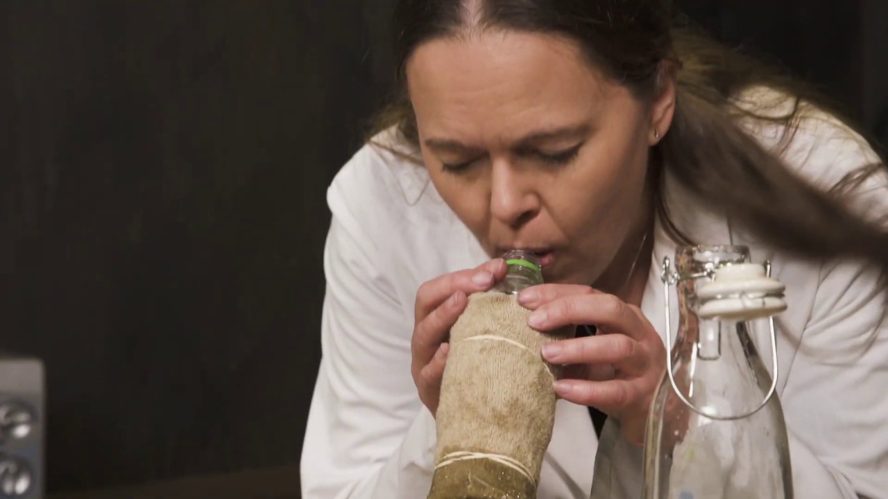 Bubbelormar - Instruktion experiment 2 - Berta Grön i Labbet