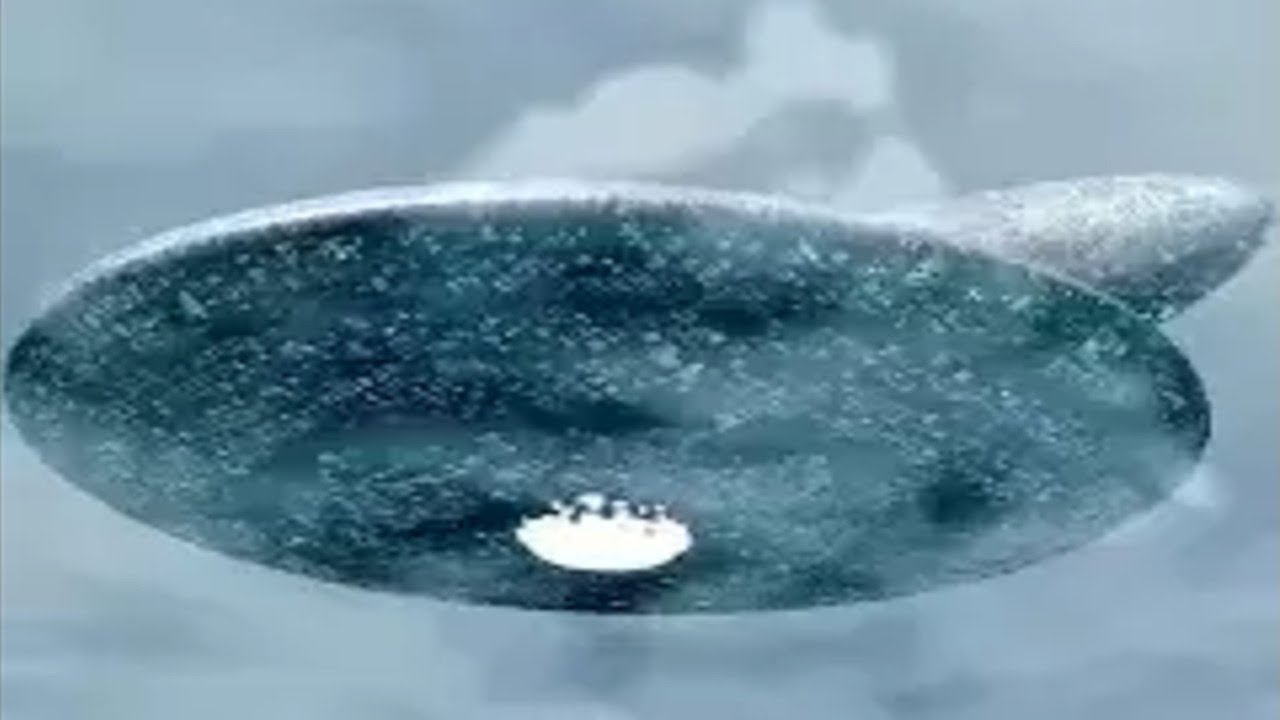 UNIVERSAL FONE (2023) THE WHOLE ENTIRE UNIVERSE IS WATCHING