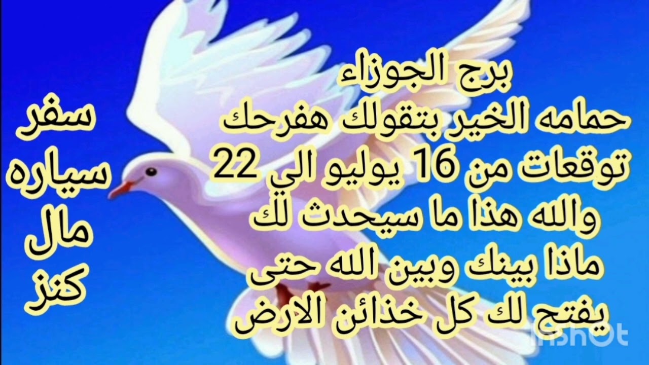 برج الجوزاء حمامه الخير بتقولك هتفرح 💫 توقعات من 16 يوليو الي 22💫والله هذا ما سيحدث لك 