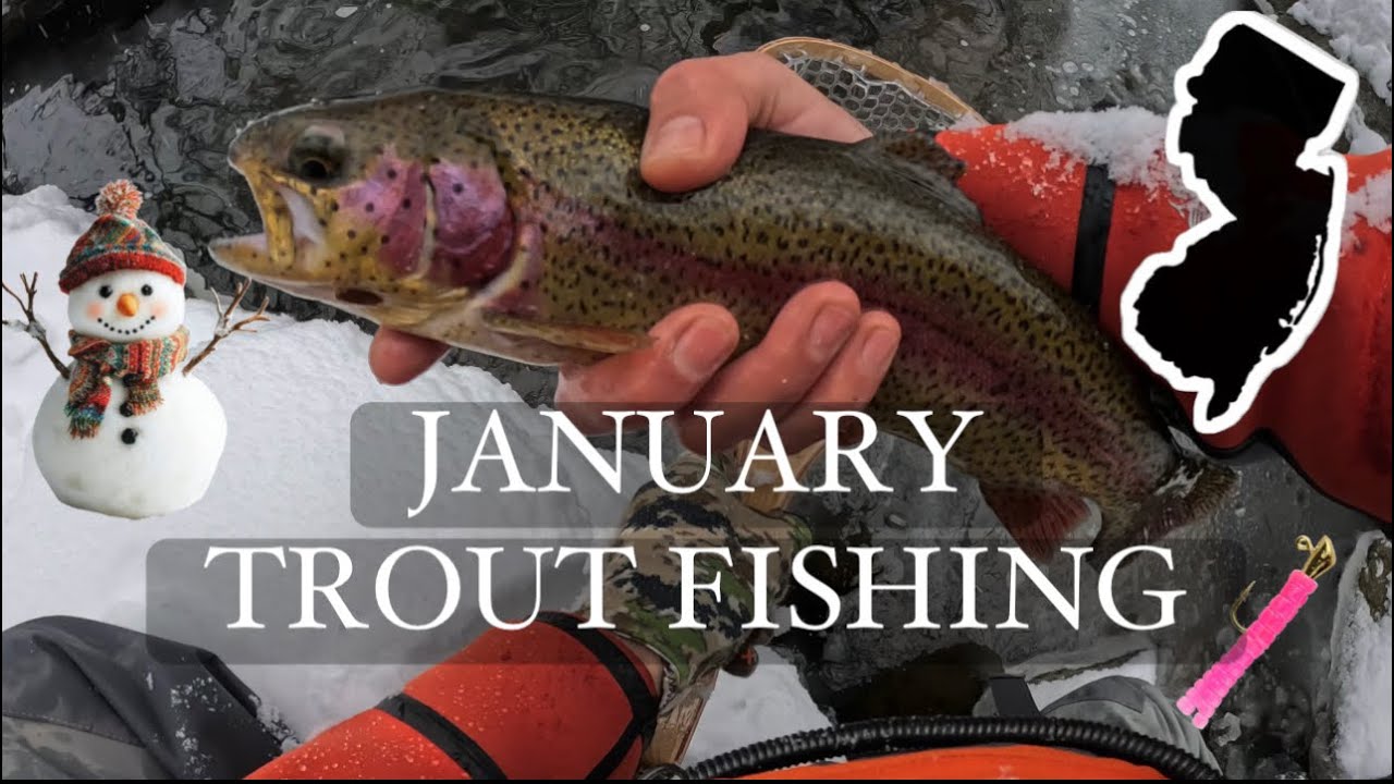 January New Jersey Winter Wonderland Trout Fishing - Nice Rainbow on the Trout Magnet