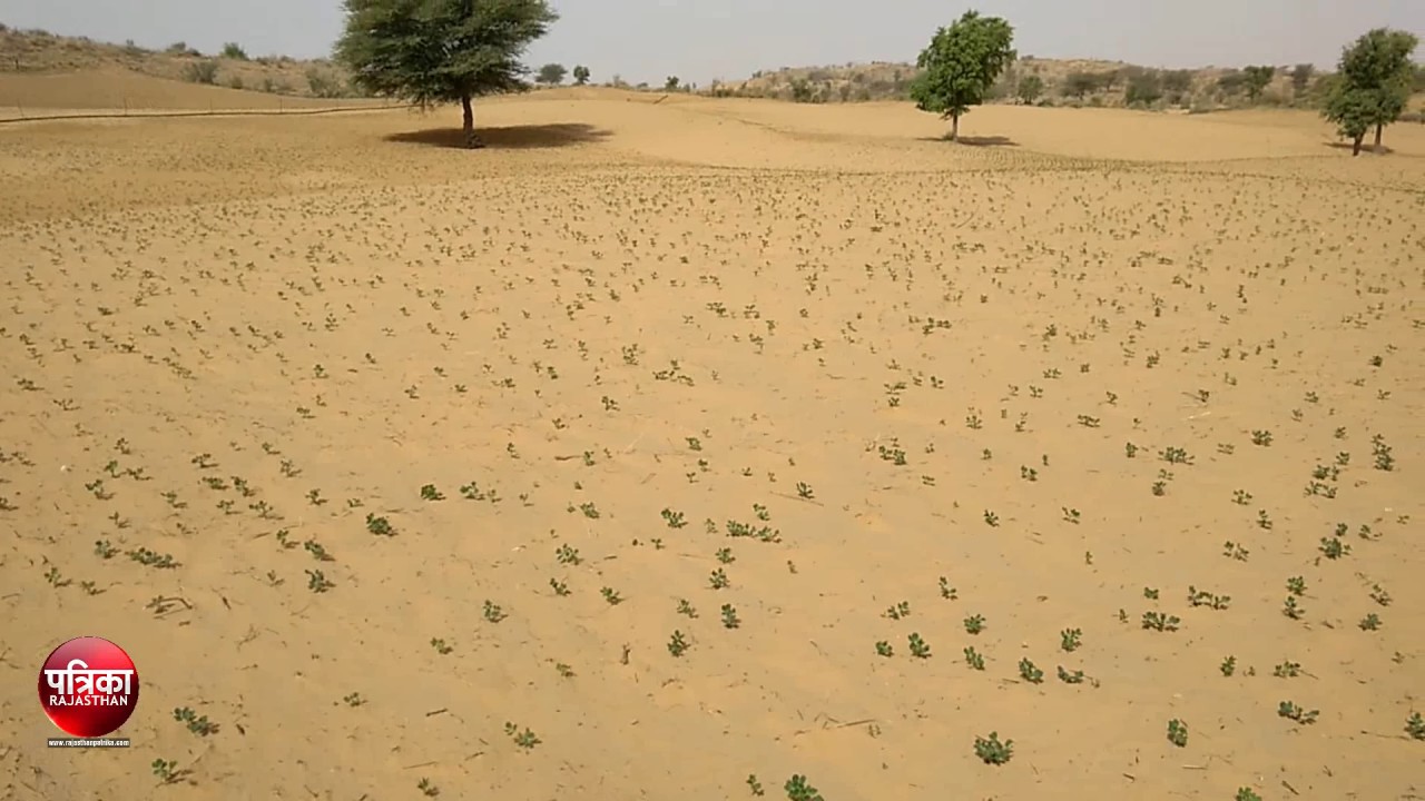 sriganganagar weather and temperature