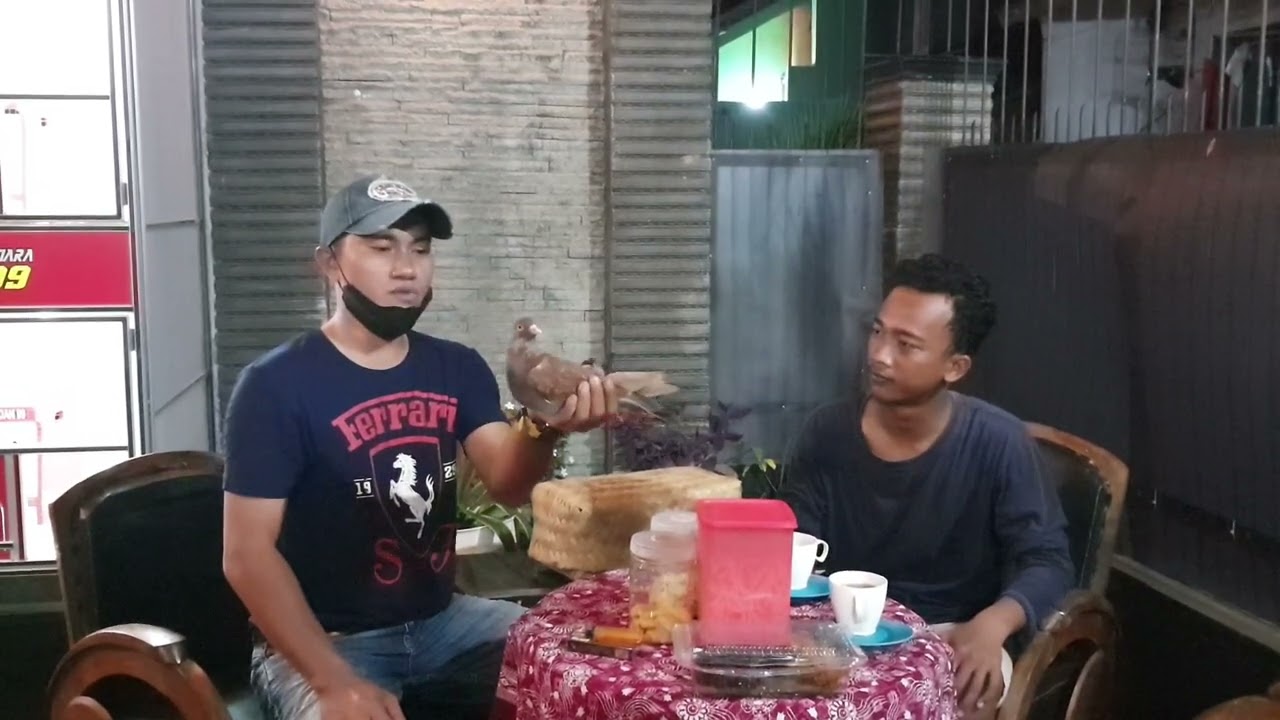 PENGAMBILAN CUCU QIU-QIU CUCU GRENDASEBA CICIT KENWOOD@yodan99penjelajahmutiara