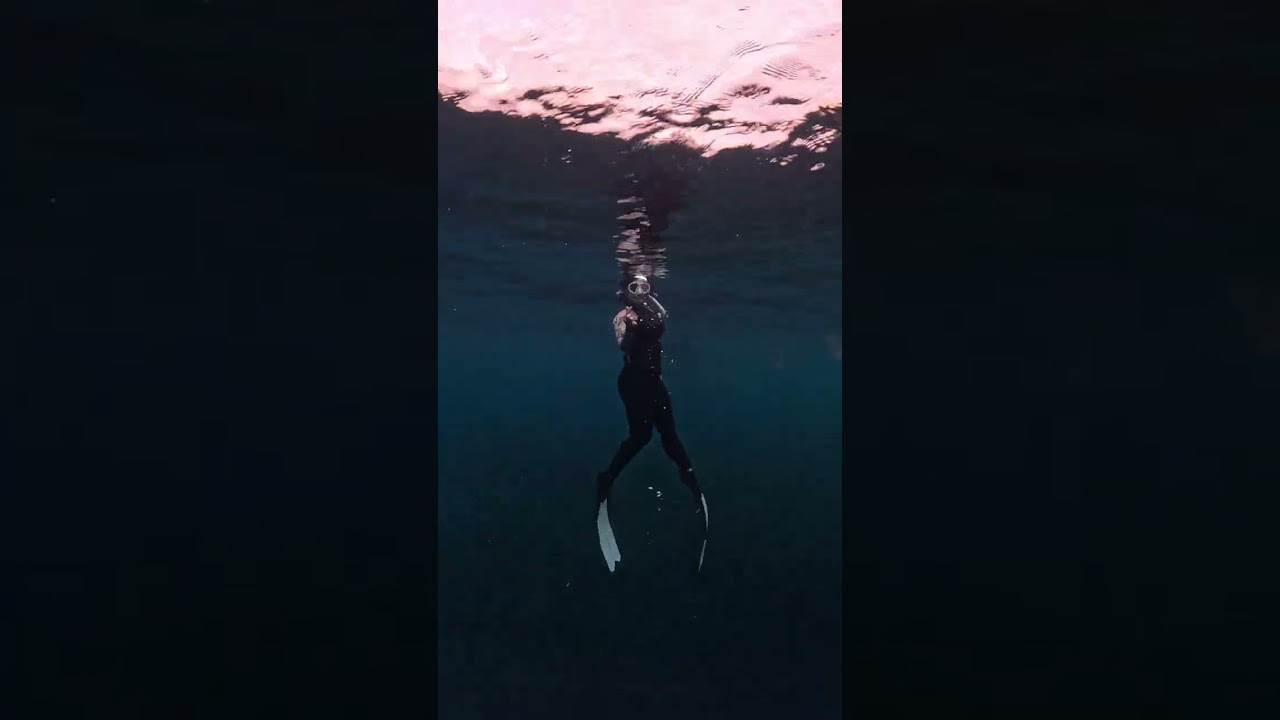 Lost in the blue of Moalboal 🤿✨