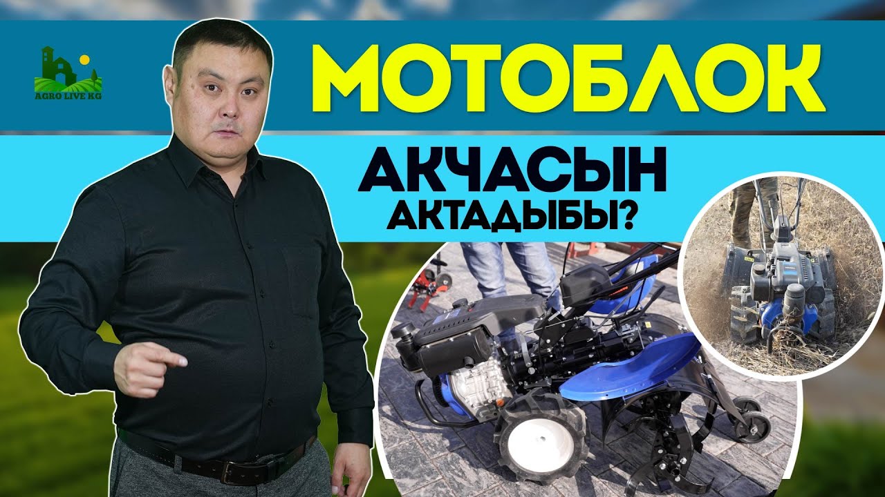 Мотоблок МӨМӨ менен иштегендерге кандай кызматтарды аткарат? Жаңы мотоблоктор скидка менен сатылууда