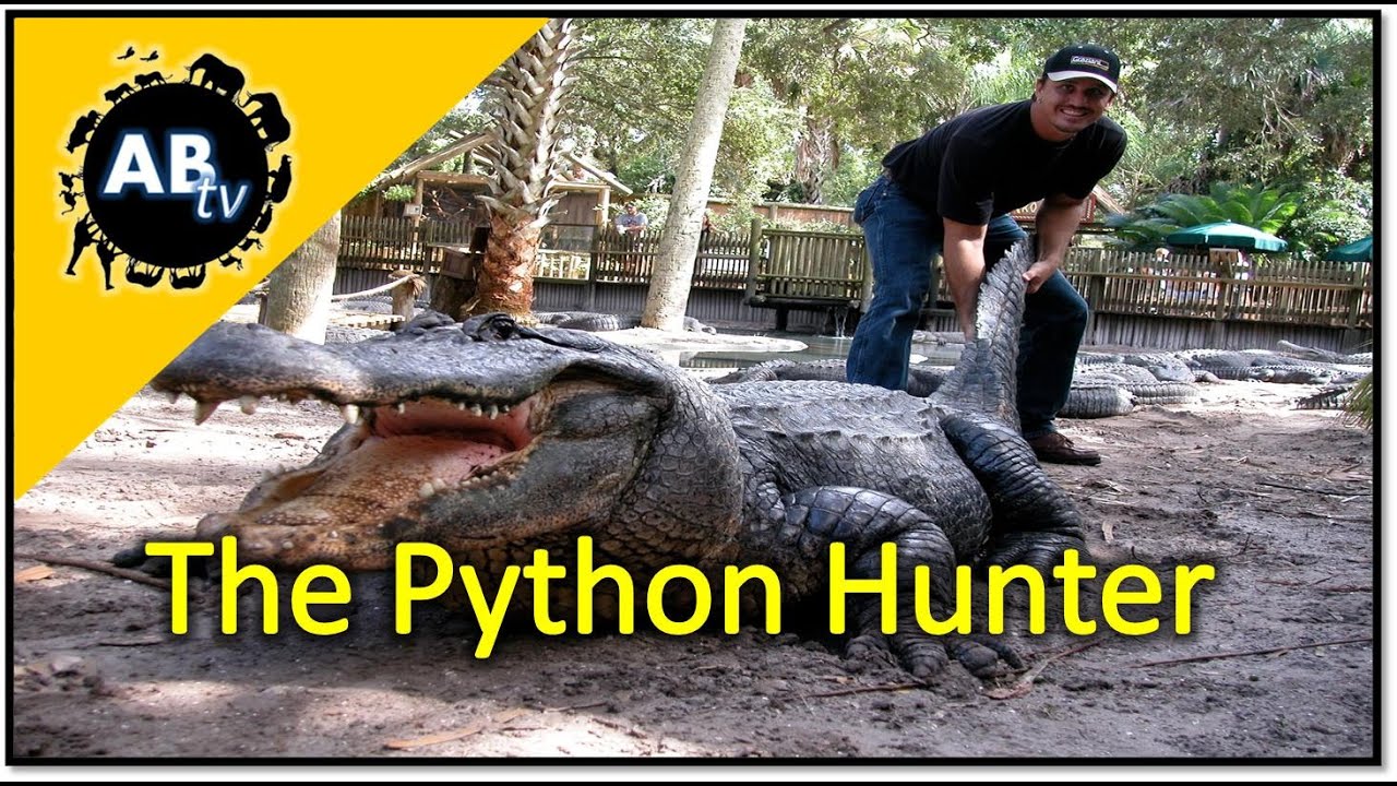 The Python Hunter : AnimalBytesTV