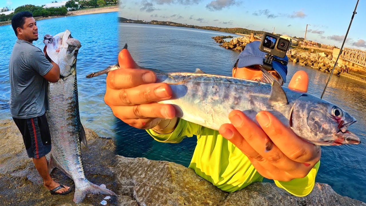 1 FT FISH vs 6 FT MONSTER
