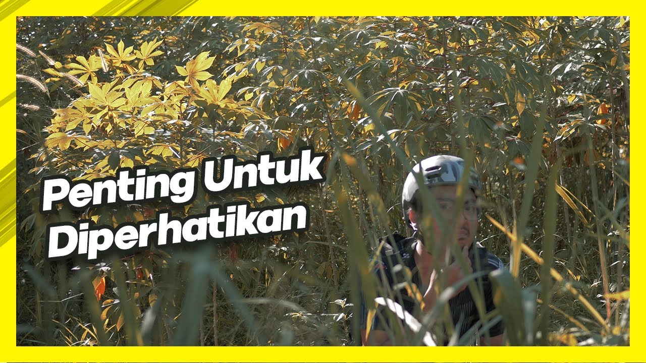 Seri Pemula #3: Persiapan Sebelum Gowes
