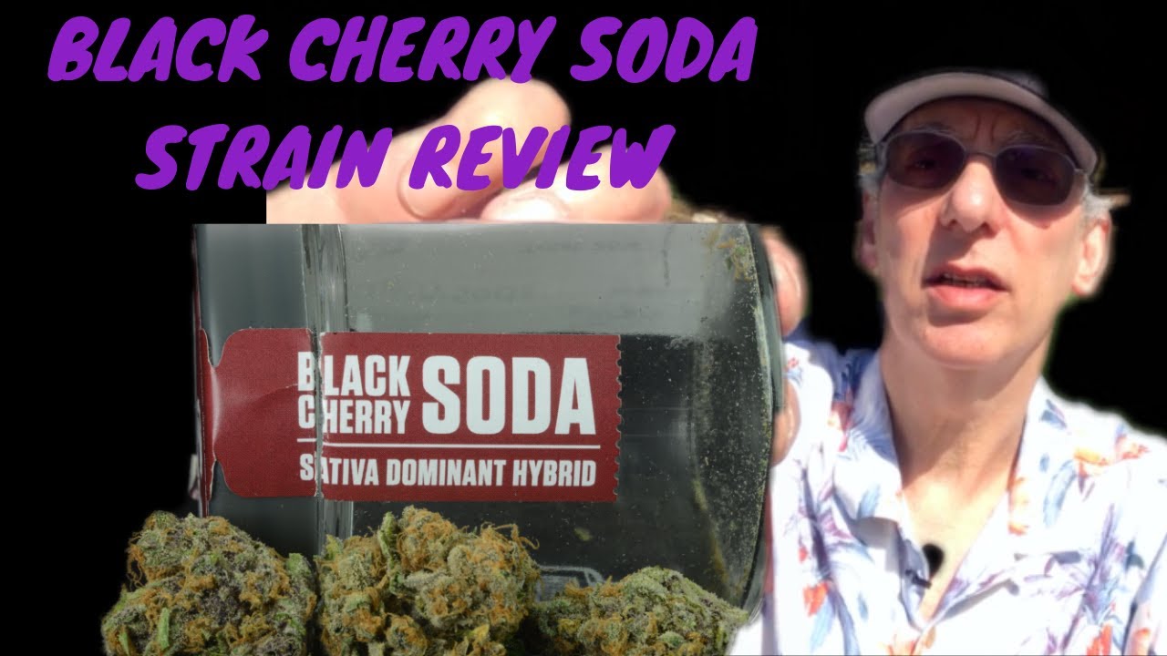 BLACK CHERRY SODA Cannabis Strain Review
