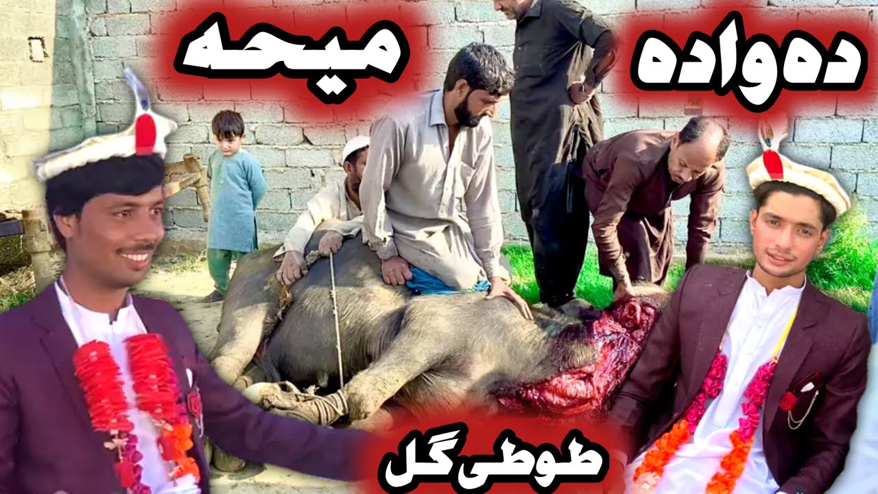 Tuti Gull Da Wada Meha Pashto New Funny Video 2023 by Tuti Gull Vines