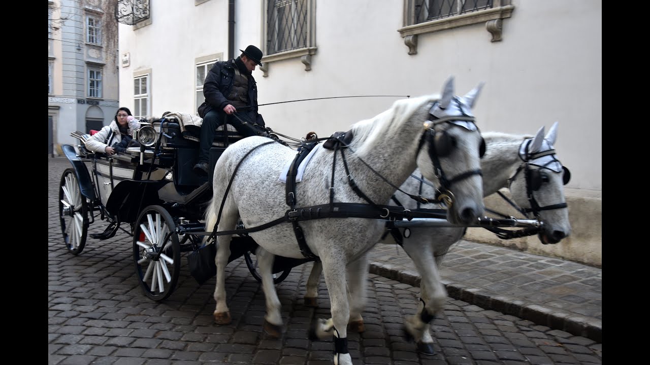VIENA IMPERIAL