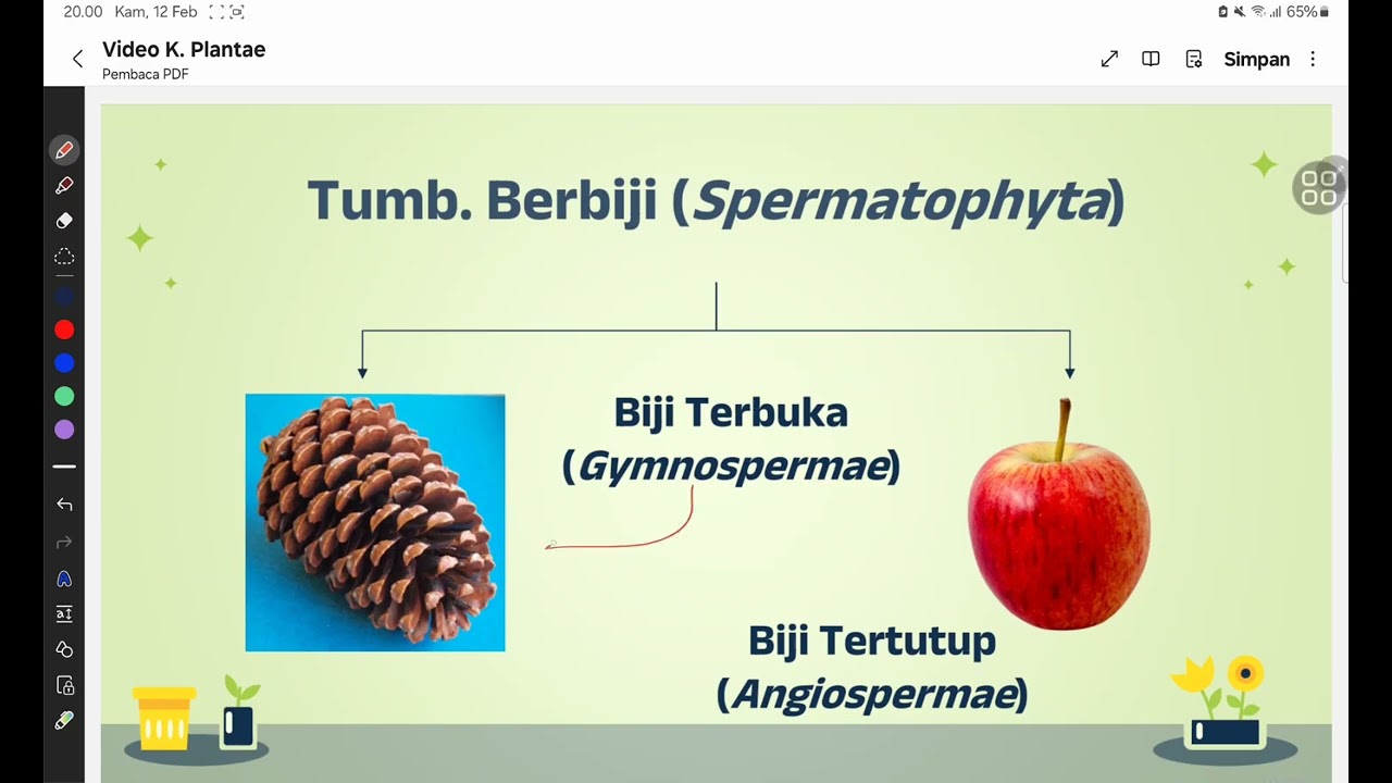 Klasifikasi 5 Kingdom (Kingdom Plantae)