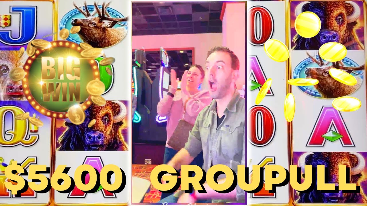 🦬 5600 долларов за акцию Buffalo Chief Group в Роки-Гэп