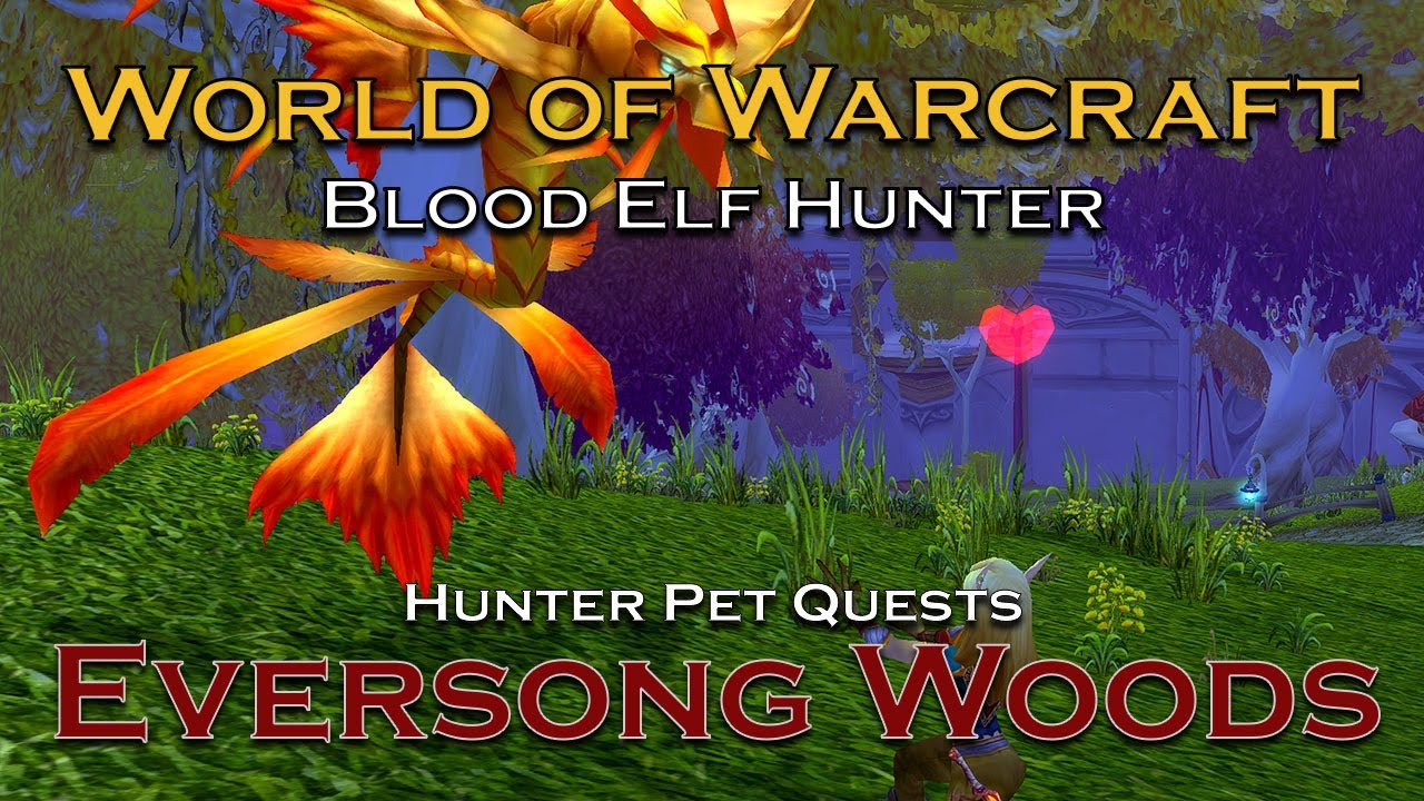 Blood Elf Hunter Mariandler | Voyaging in Azeroth | WotLK Classic Gameplay | Hunter Pet Questline