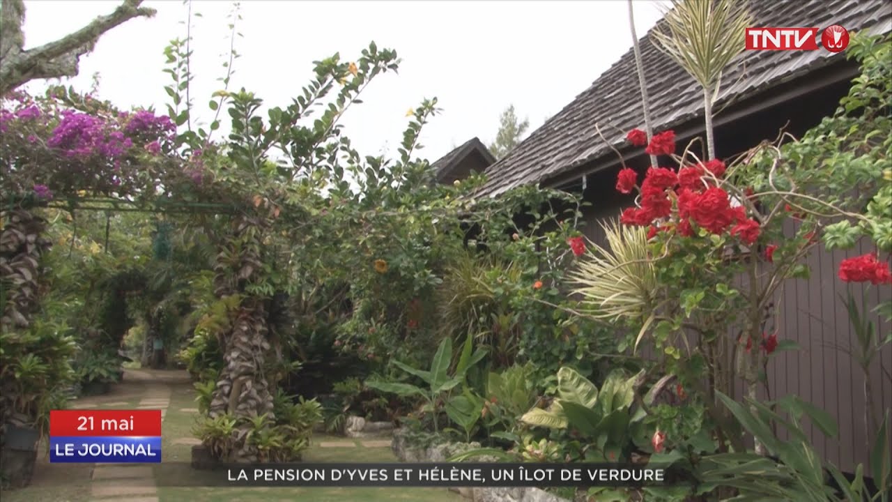 Rurutu : la pension d'Yves et Hélène, un îlot de verdure