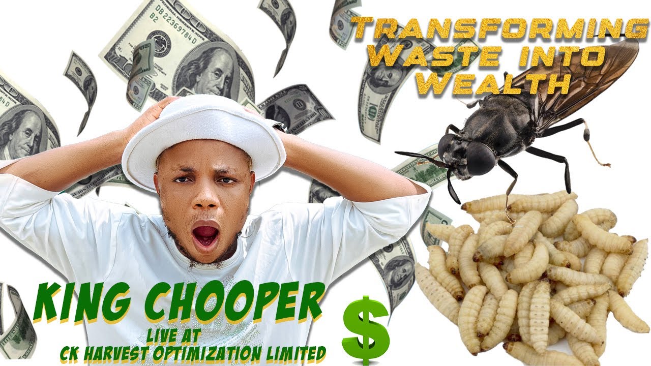 King chooper live at Ck optimization harvest farm. They deals on feeds for your animals/livestock 