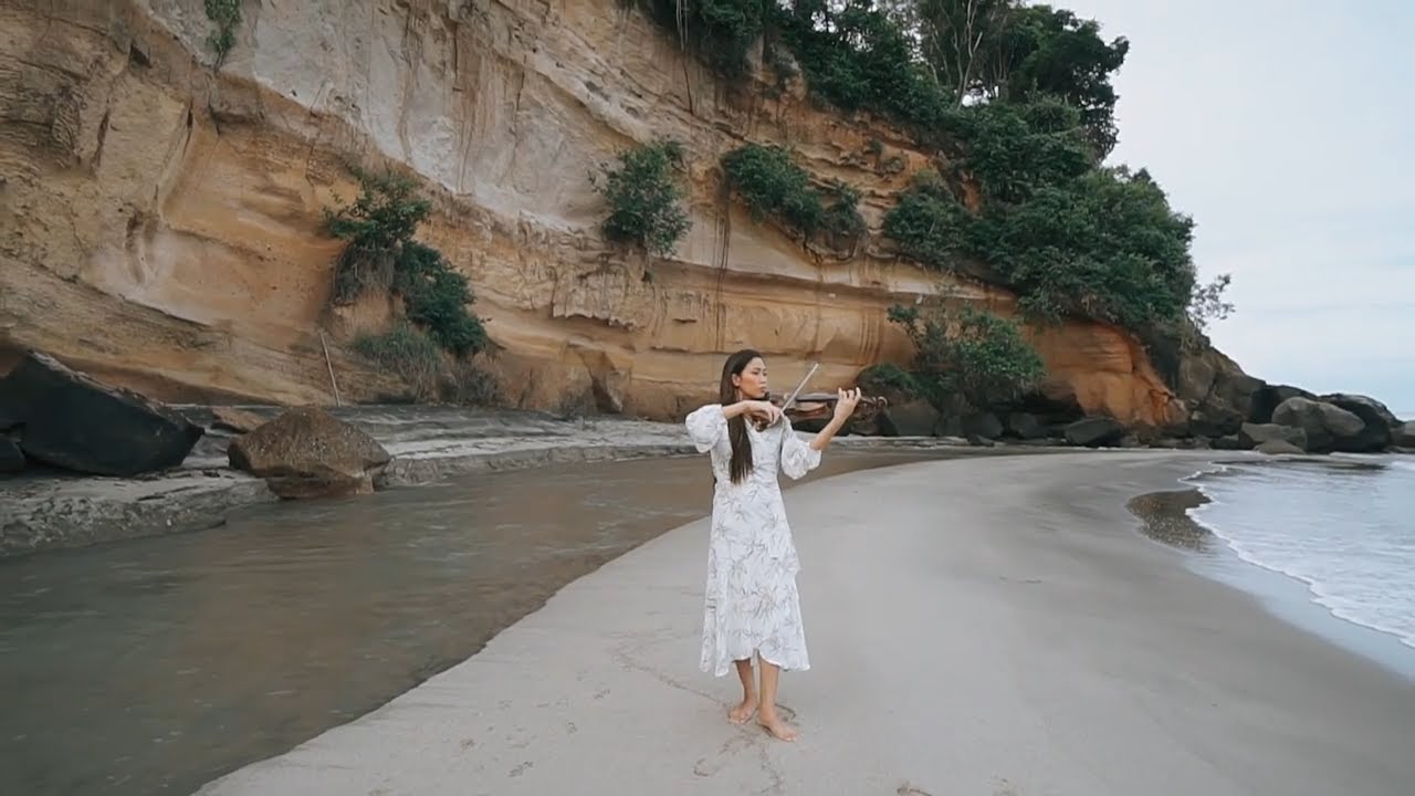 Hallelujah Instrumental - Leonard Cohen - Violin Cover