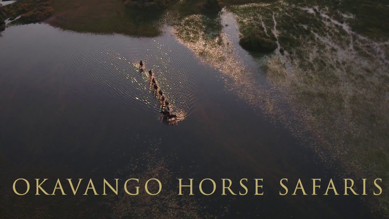 Okavango Horse Safari | Botswana
