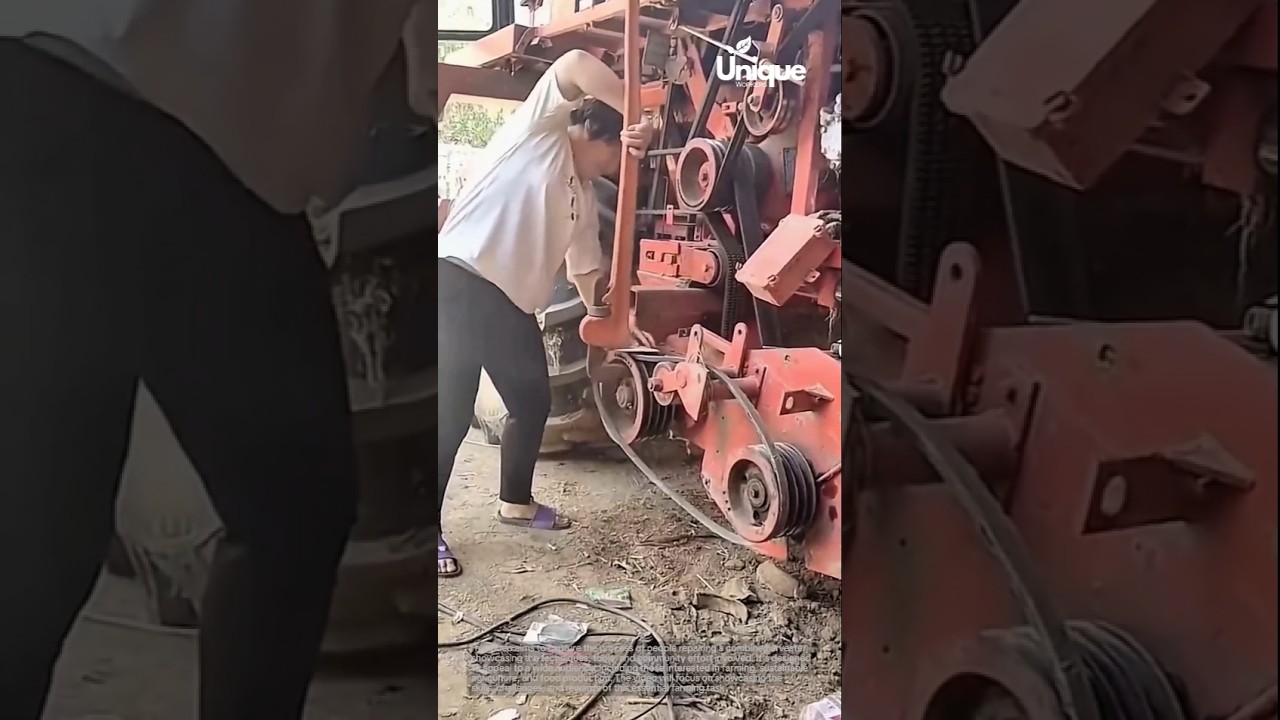 Repairing a combine harvester: fixing agricultural machinery