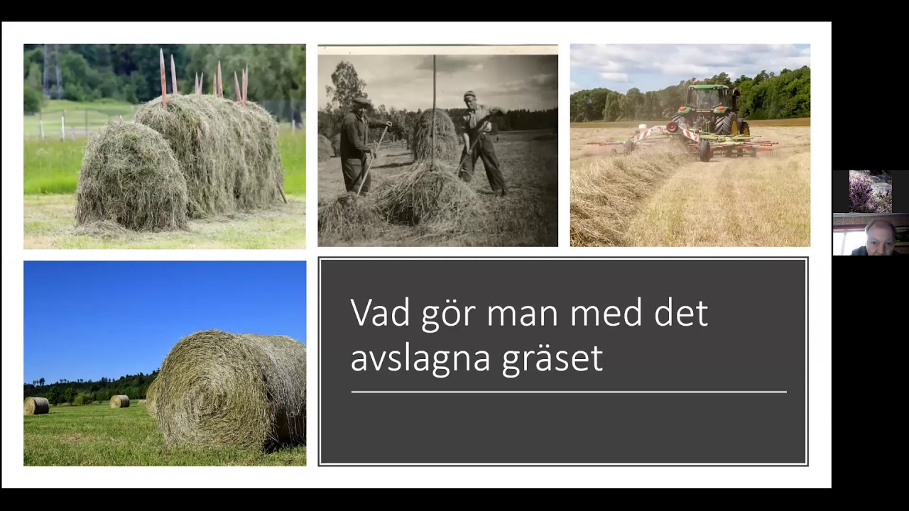 Gör om gräsmattan till äng! Föreläsning av Tomas Strid, naturvårdspecialist på Naturcentrum AB.
