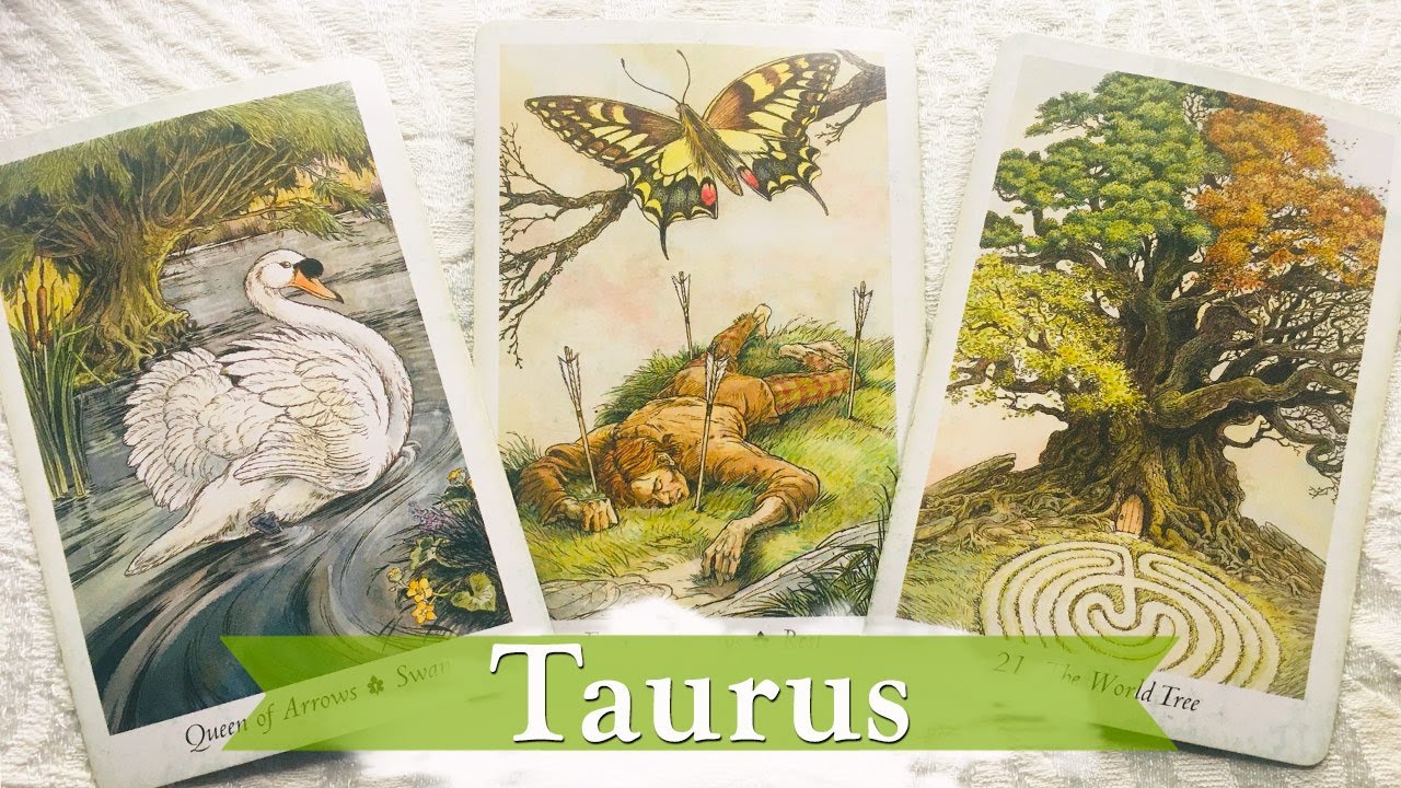 Taurus be patient with them, it could pay off. They're a catch