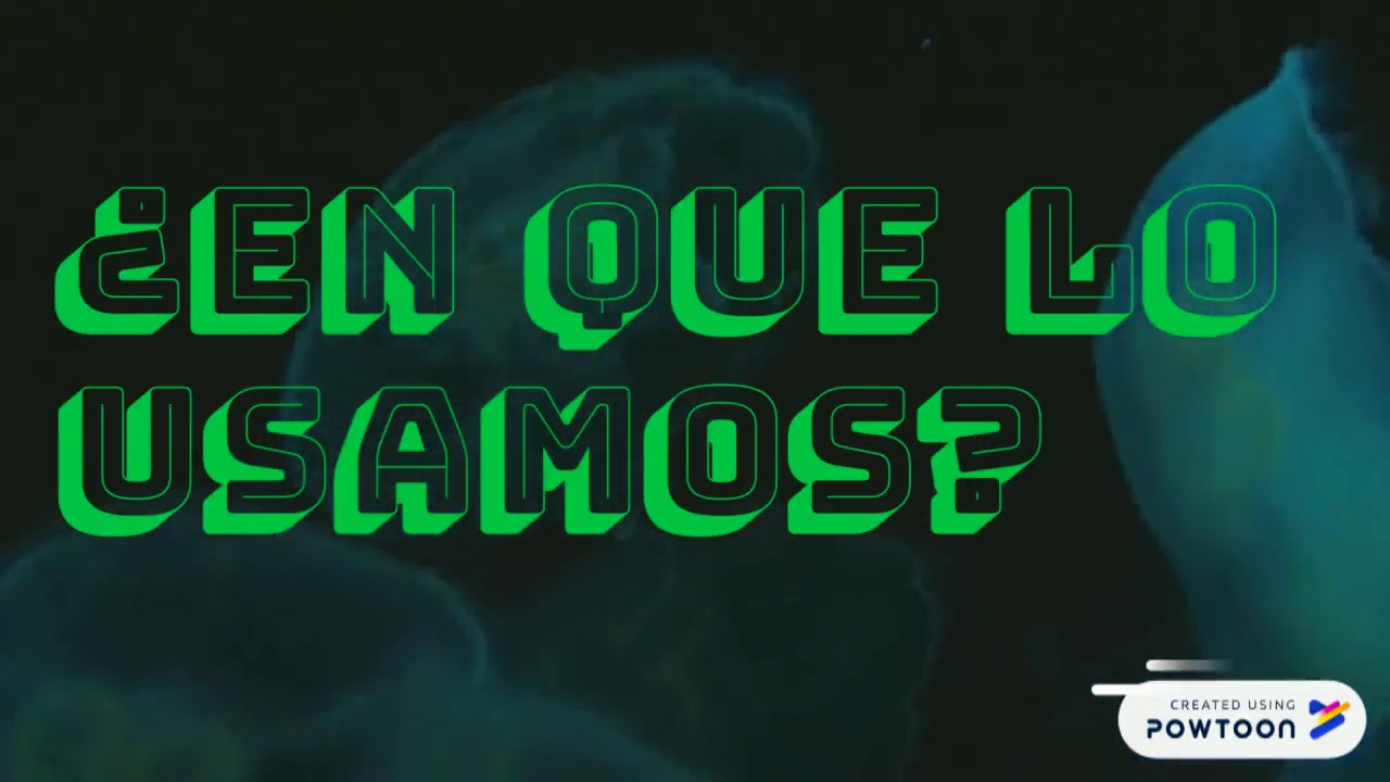 &iquest;Qu&eacute; es la celulosa?