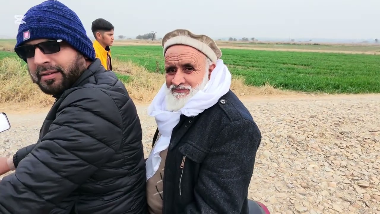 میں اور میرے پرندے اور جانور 
