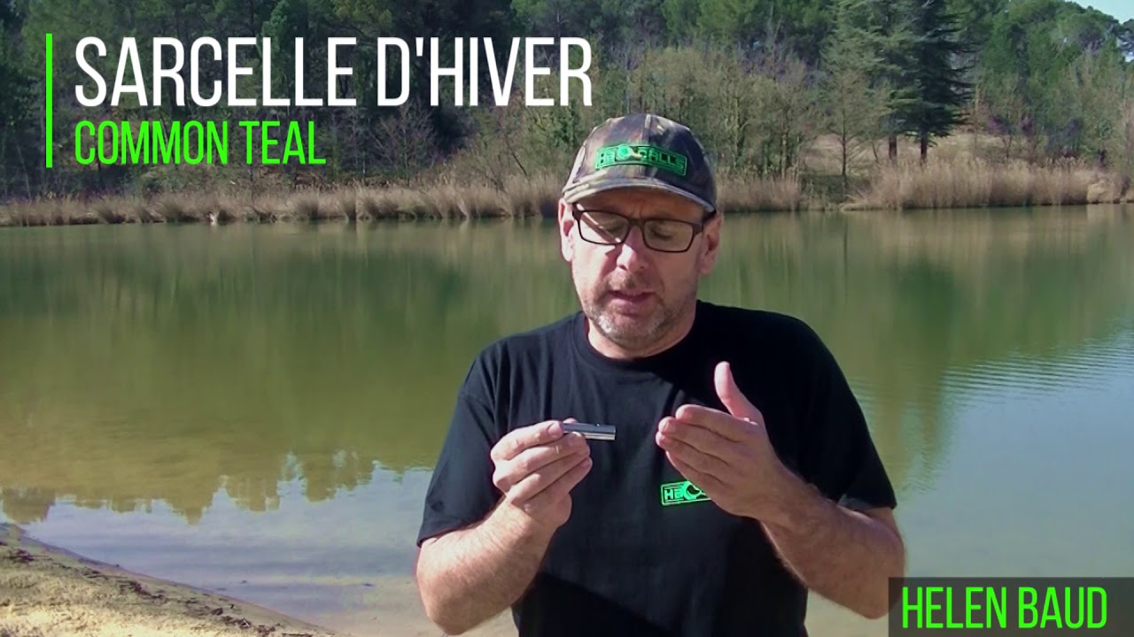 APPEAUX SARCELLE D'HIVER