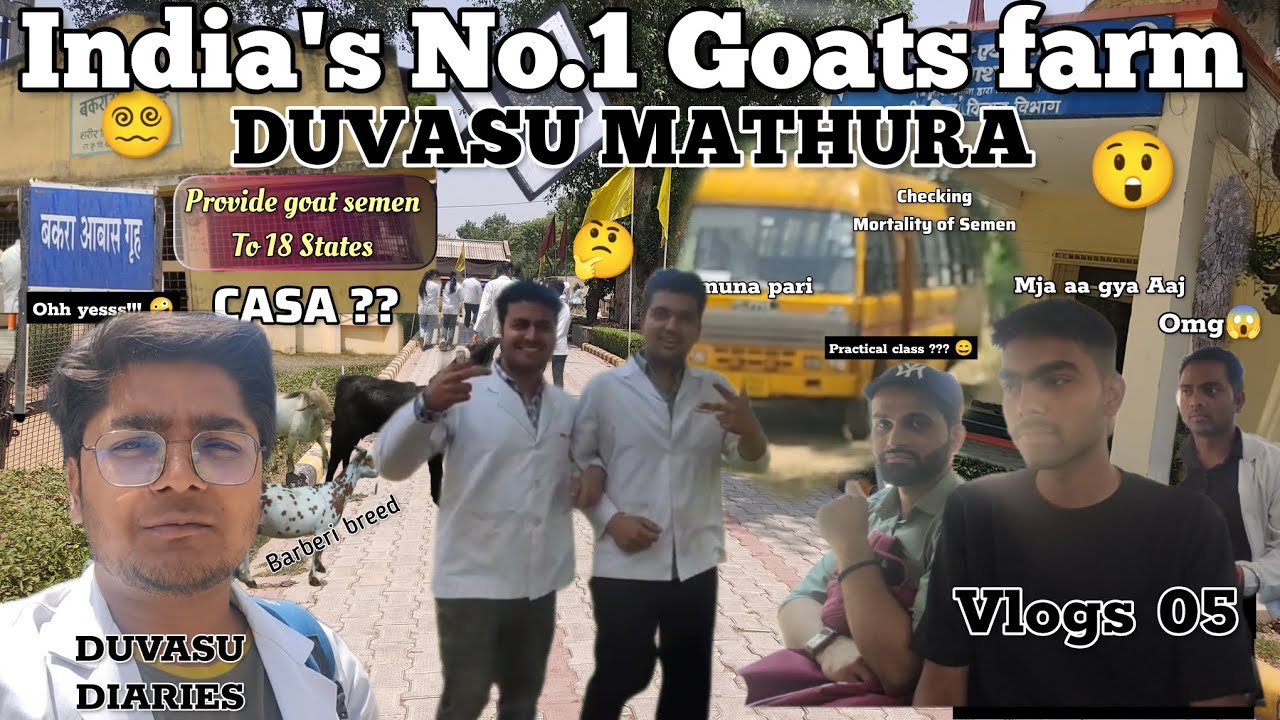Best Goat farm in India's | Duvasu mathura | semen analysis and certification lab | vlog 05 | vet 💯🔥