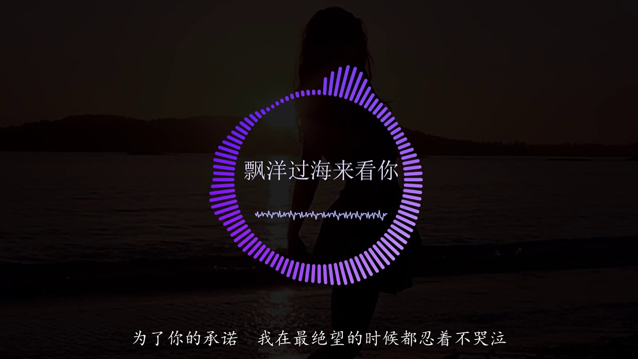 飘洋过海来看你 DJ完整版 [ 抖音 洗脑歌曲 ] 在漫天风沙里望着你远去　我竟悲伤得不能自己