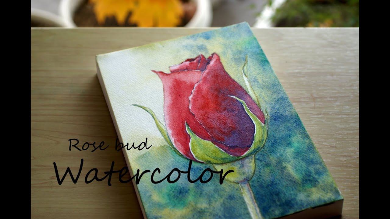 はじめてでも描ける🌹バラのつぼみ｜やさしい水彩画（水彩画／Watercolor）