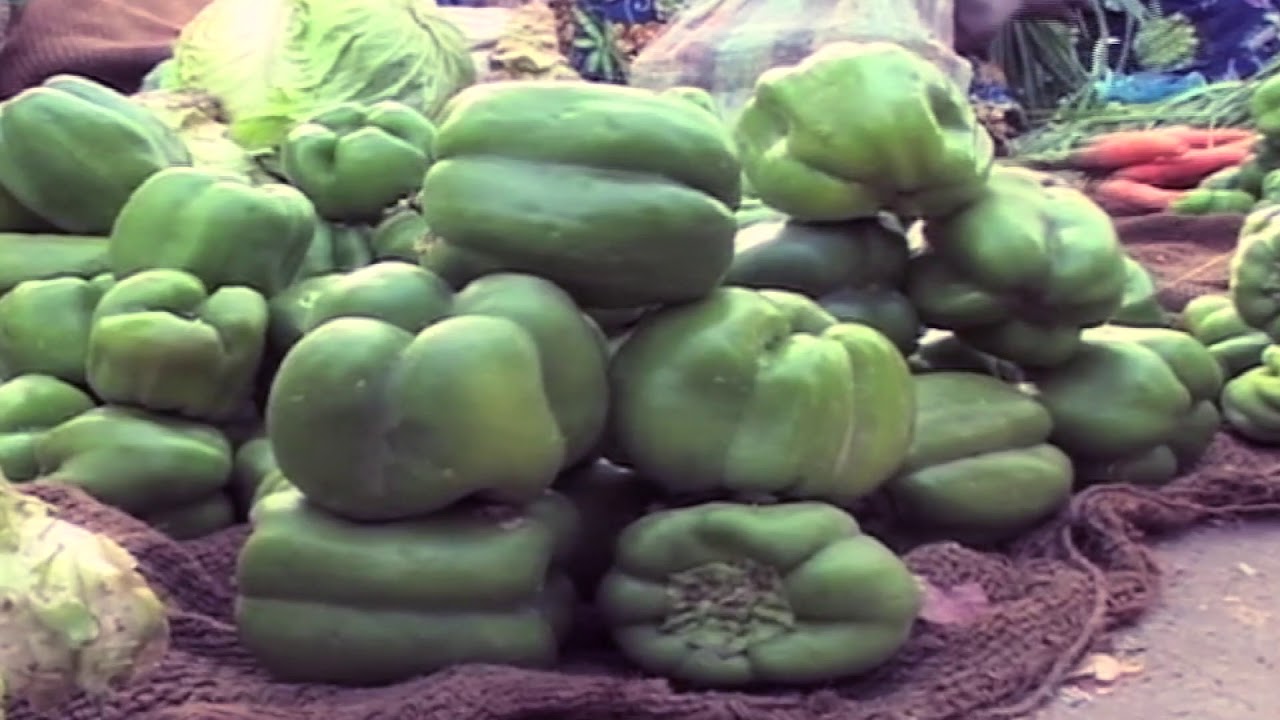 Agriculture au tchad